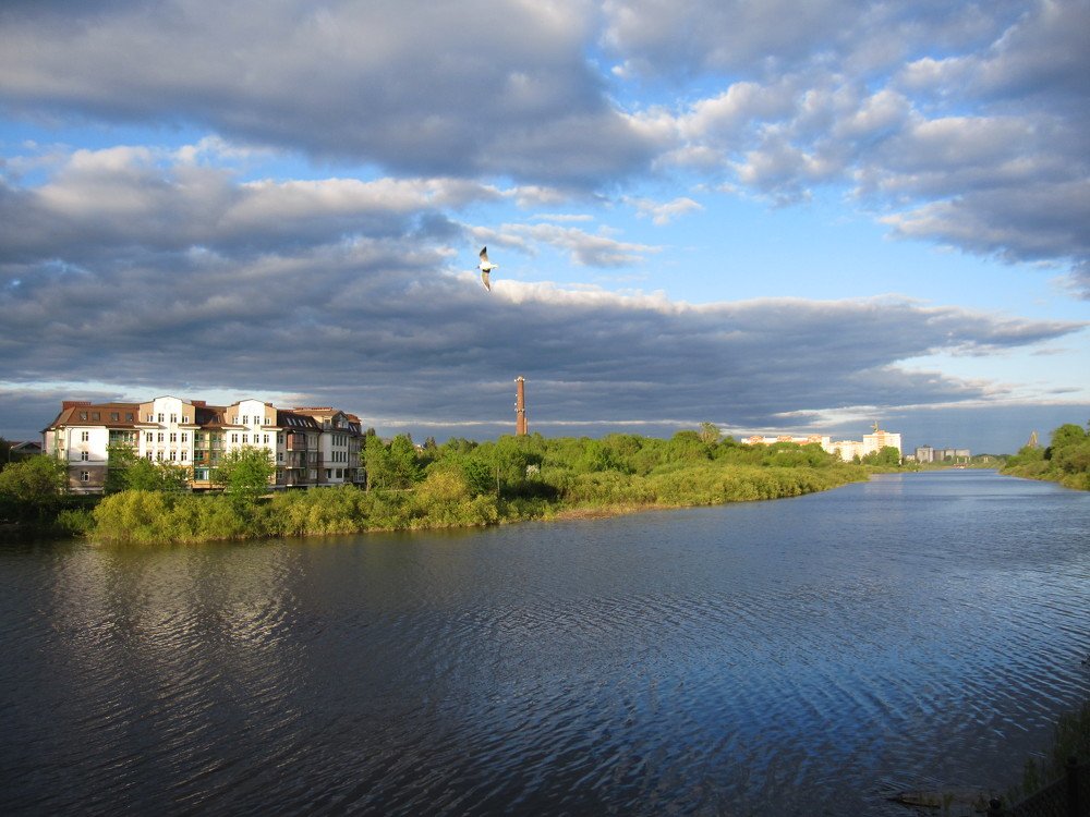 Photograph by Юлия Баринова