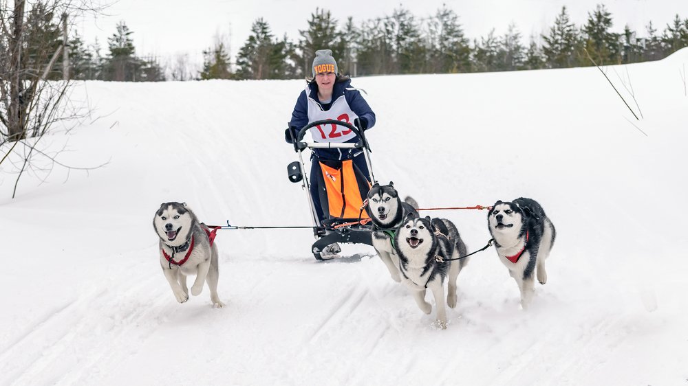 Photograph by Александр Пономарёв