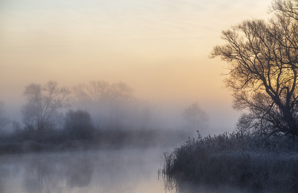 Photograph by Дмитрий Новоселов