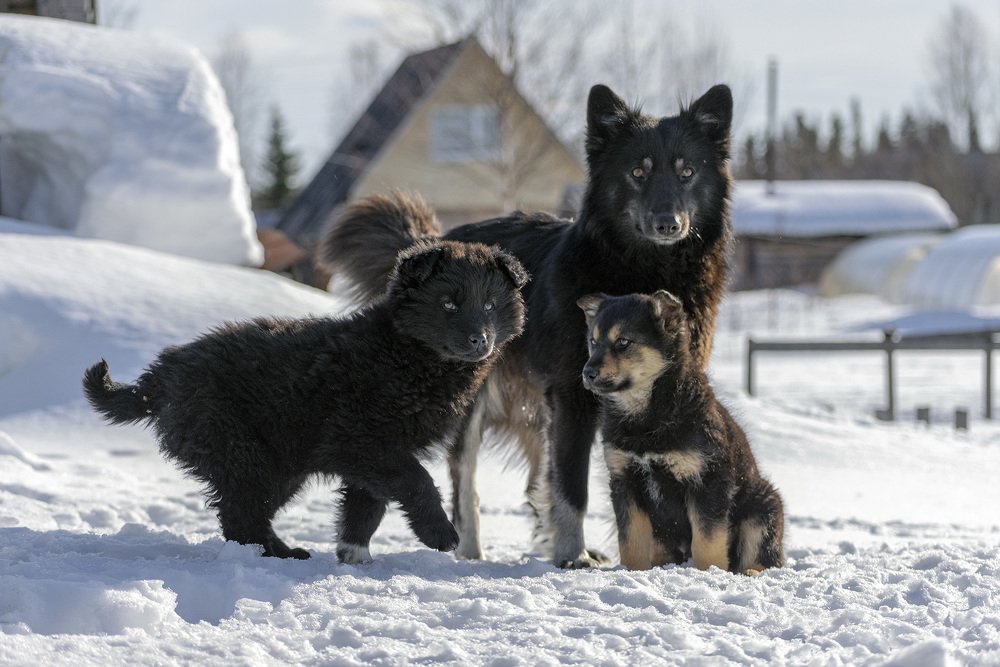 Photograph by Александр Пономарёв