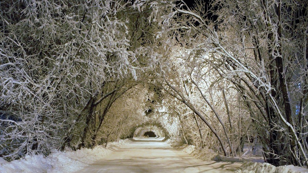 Photograph by Александр Пономарёв