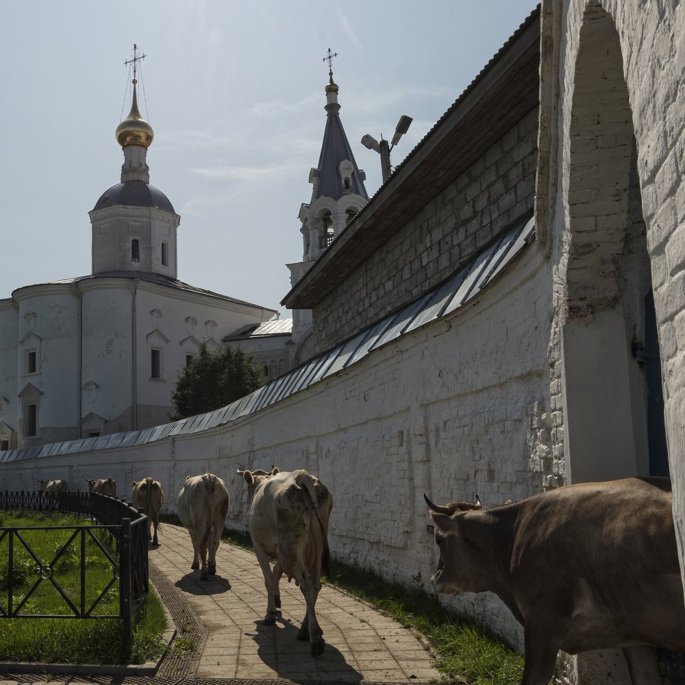 Фотография автора Марина Савчиц