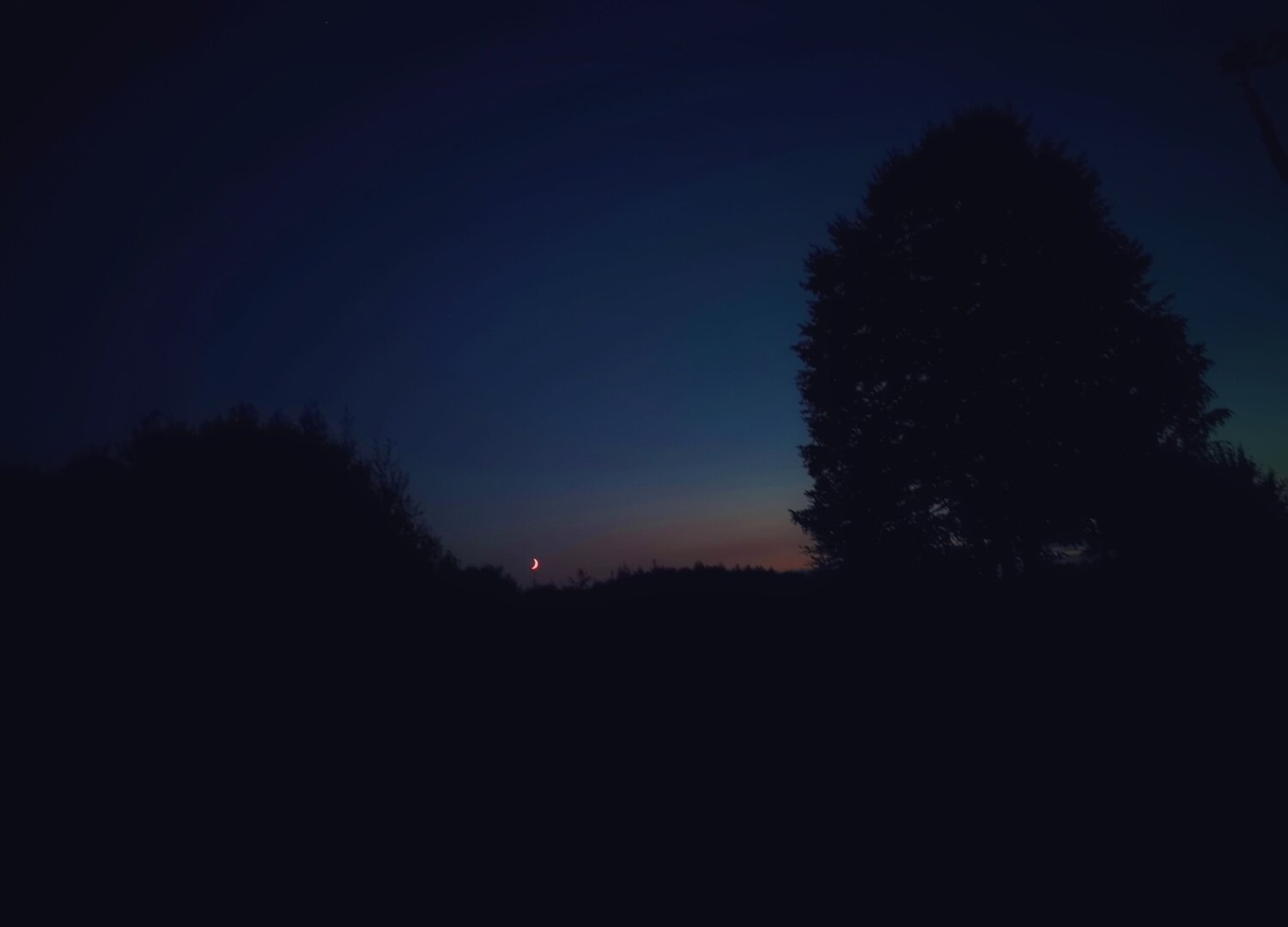 Photo #3880211