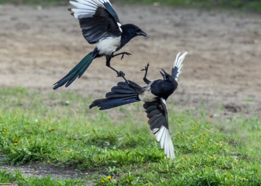 Photograph by Александр Пономарёв