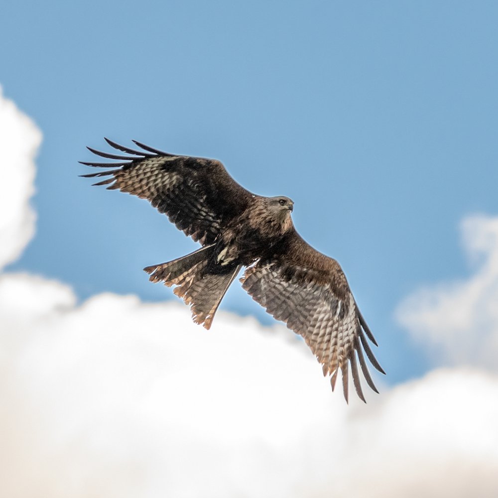 Photograph by Александр Пономарёв