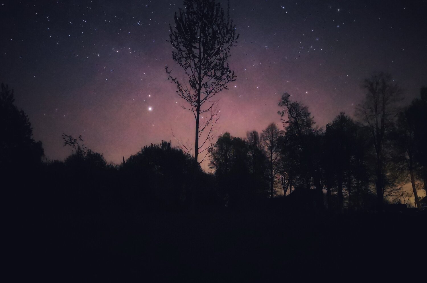 Photo #3880227