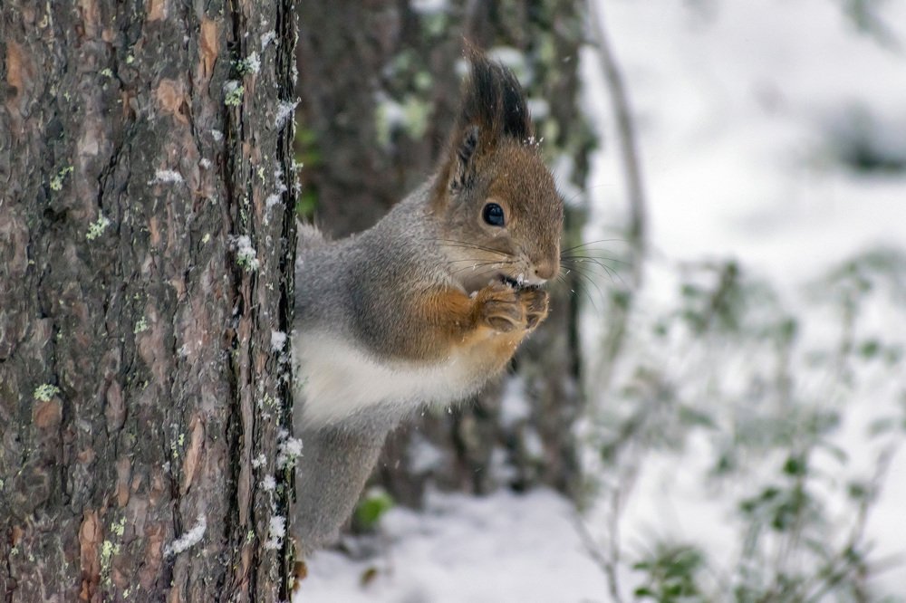 Photograph by Александр Пономарёв
