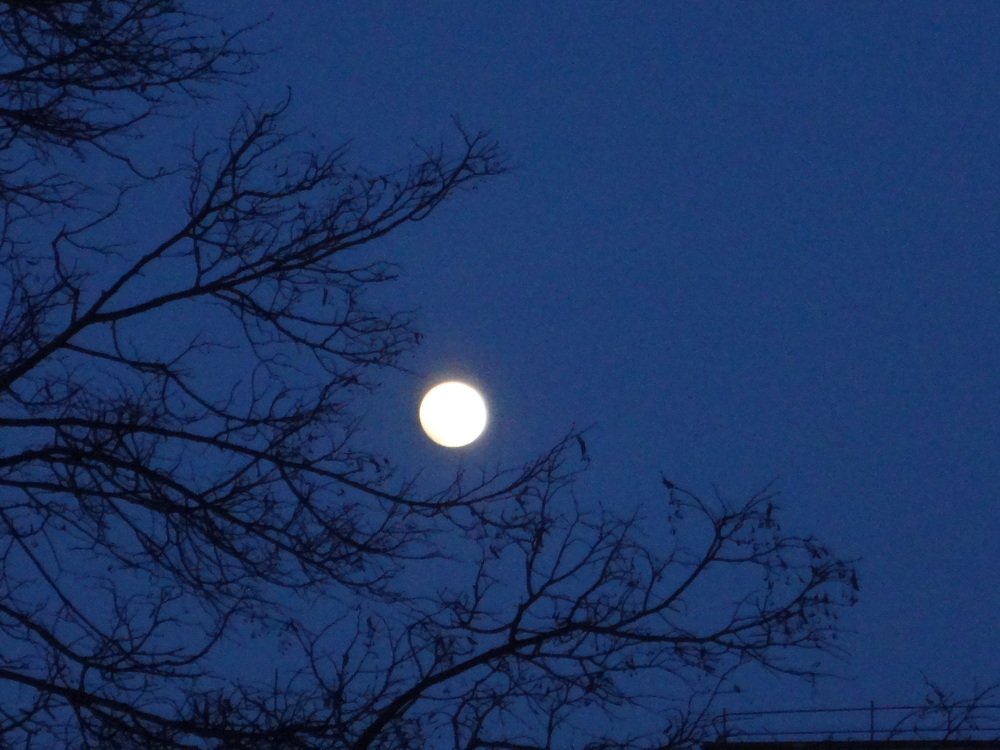 Photograph by Анатолий Мохорев