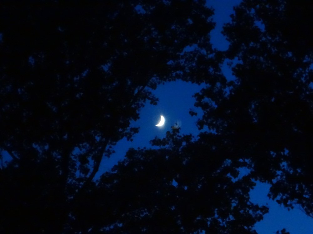 Photograph by Анатолий Мохорев