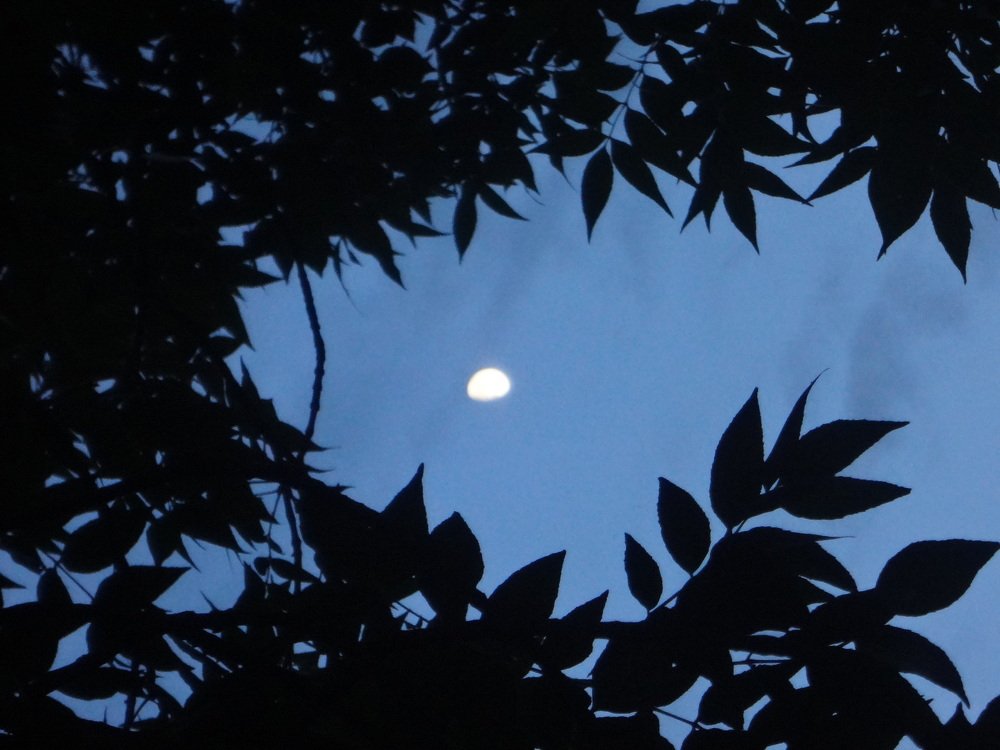 Photograph by Анатолий Мохорев