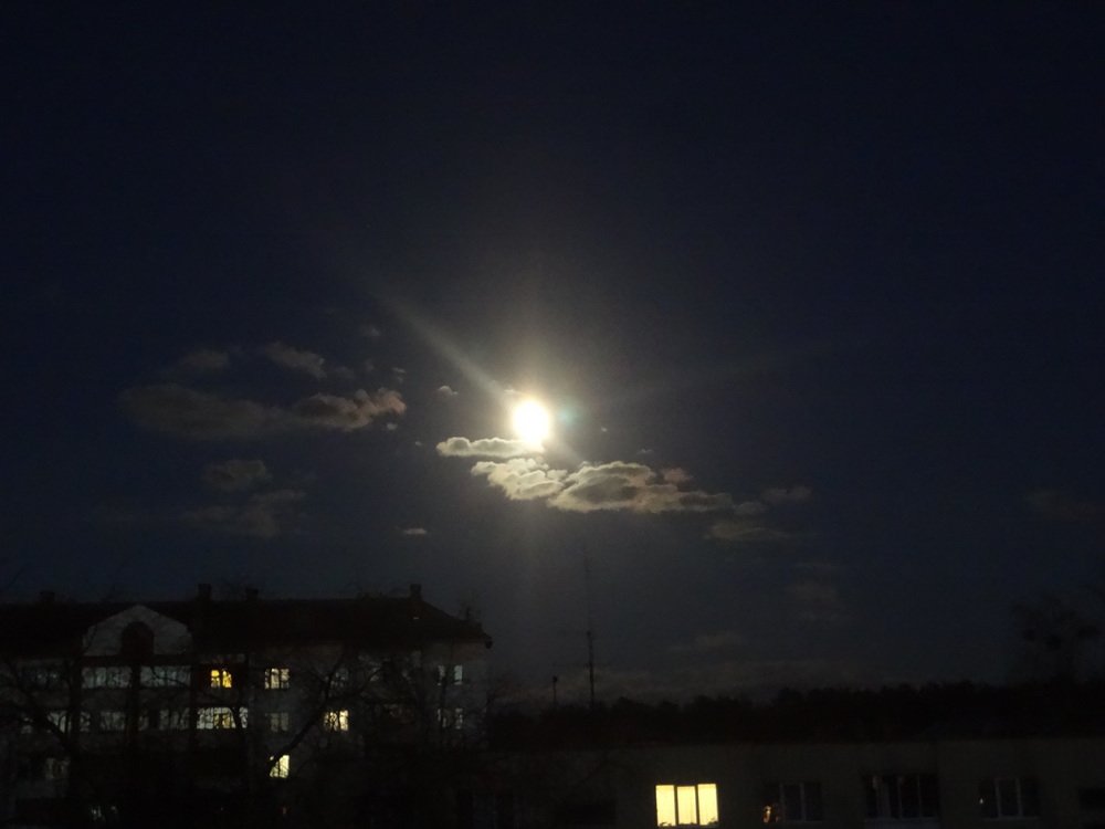 Photograph by Анатолий Мохорев