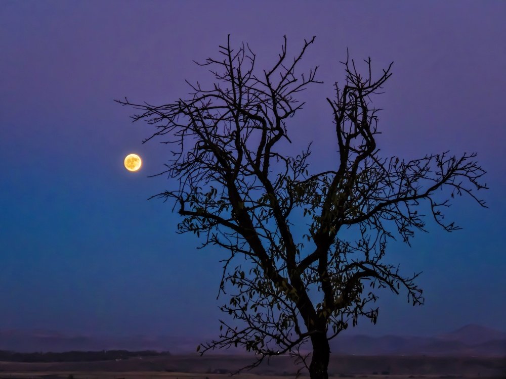 Photograph by Bahrami Ashkan