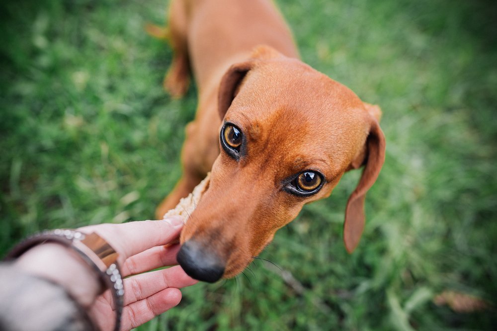 Photograph by Сибас Татьяна