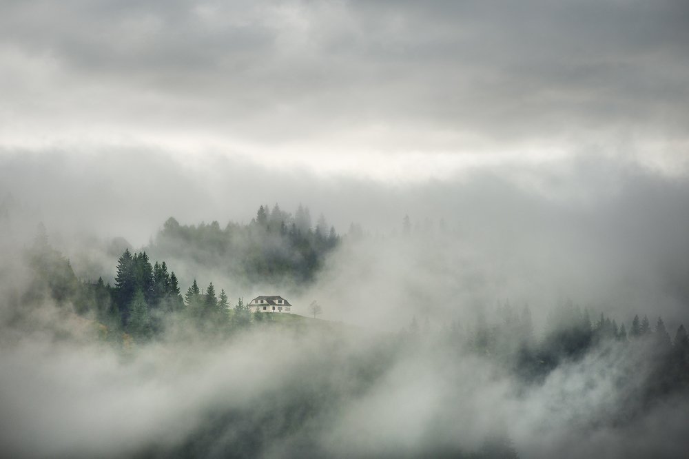 ...life in the fog...