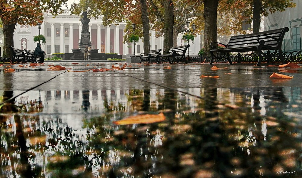 Photograph by Святослав Тышкевич