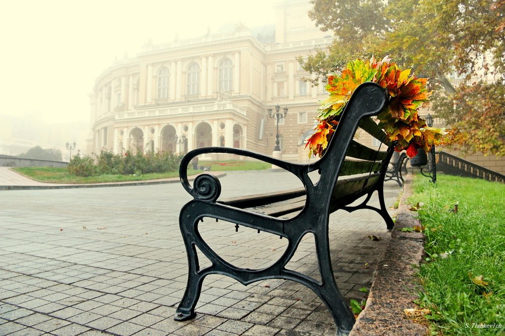 Photograph by Святослав Тышкевич