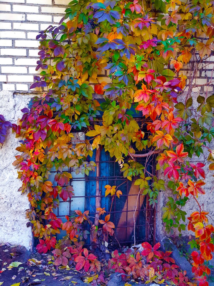 the beauty of autumn