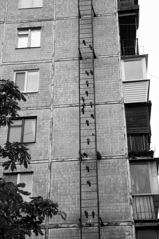 Photograph by Константин Чимбай