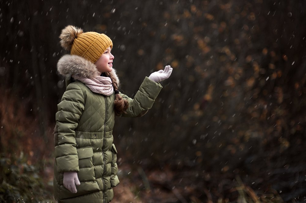 Первый снег