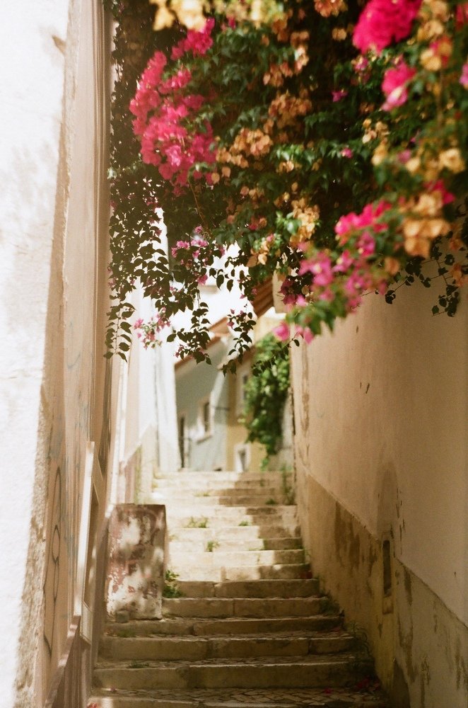 Photograph by Джоанна-Виктория Эрелис