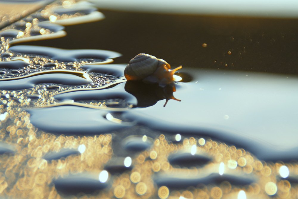 Photograph by Святослав Тышкевич