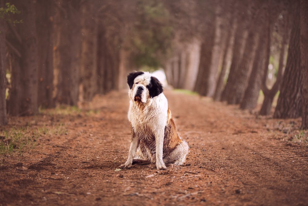 Фотография автора Ana Verdugo