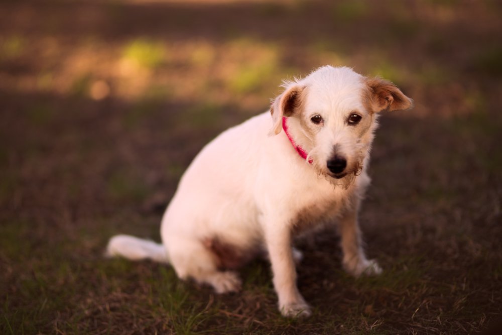 Фотография автора Ana Verdugo