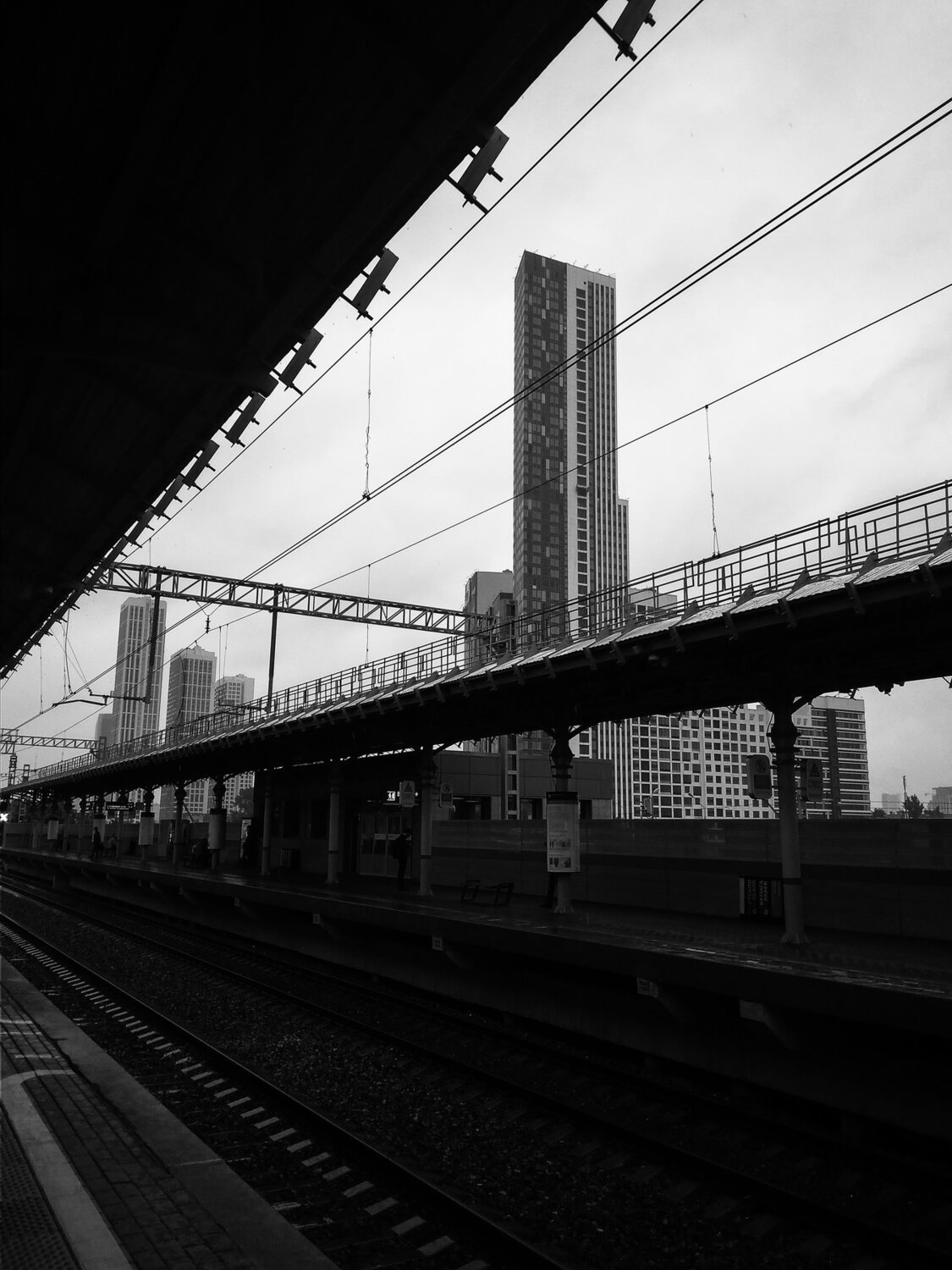 Photo #3880881