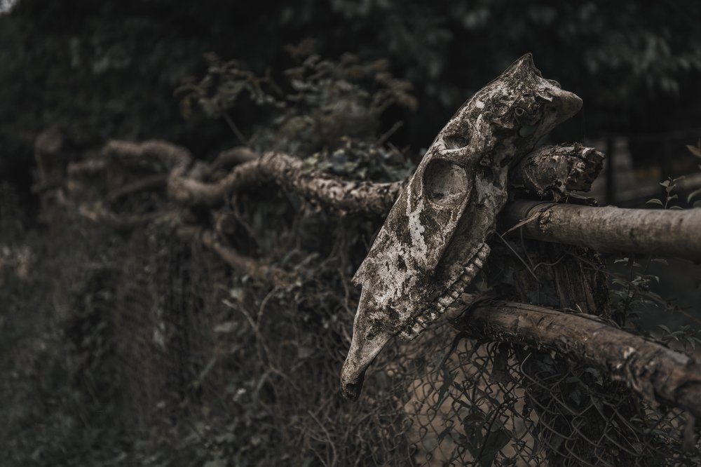 Photograph by Антон Журавлев