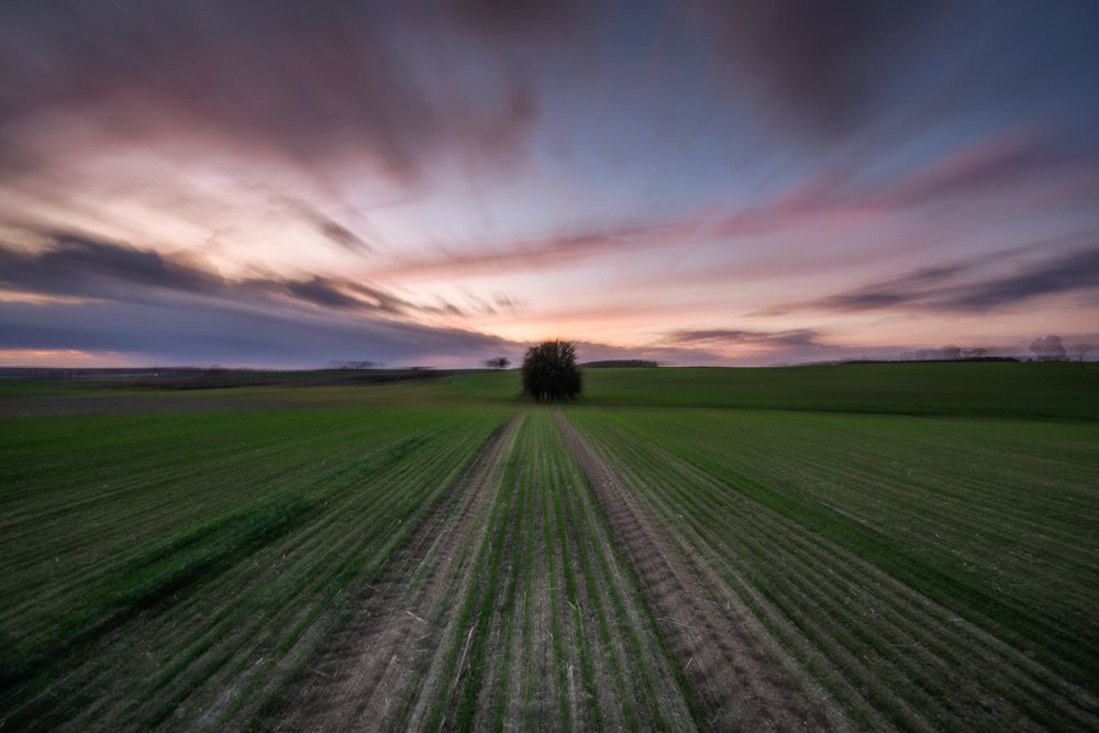 Photograph by Patryk Janota