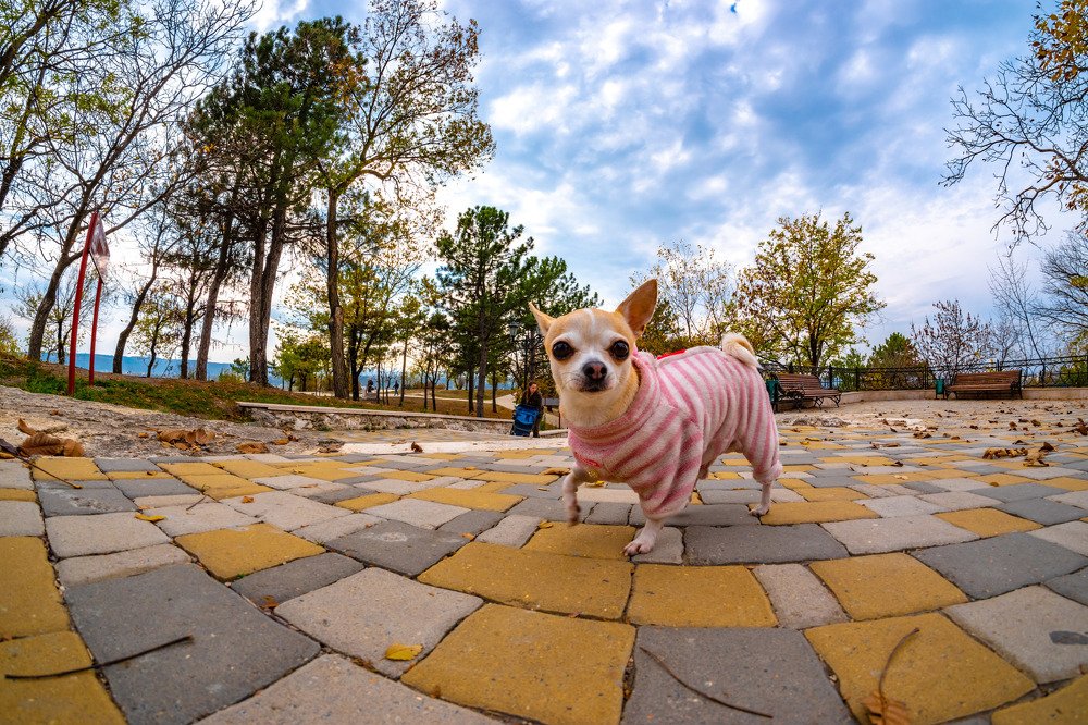 Photograph by Владимир Ганзиков