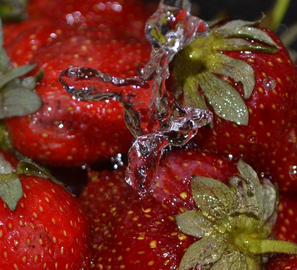 Танцующая вода