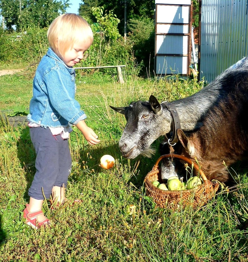 Photograph by Ольга Хромова