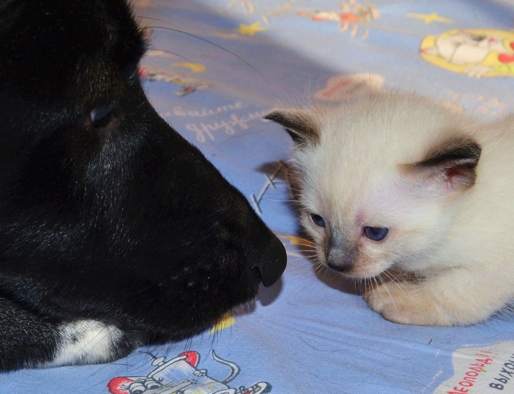 Photograph by Ольга Хромова