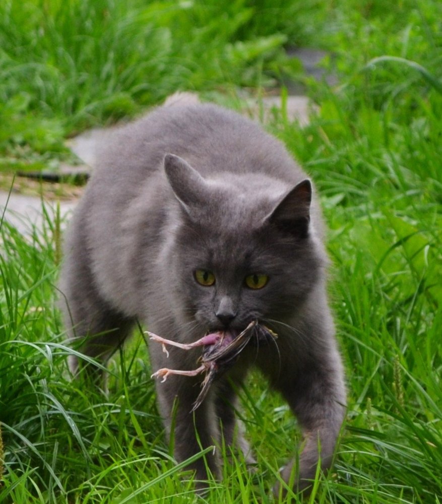 Photograph by Ольга Хромова