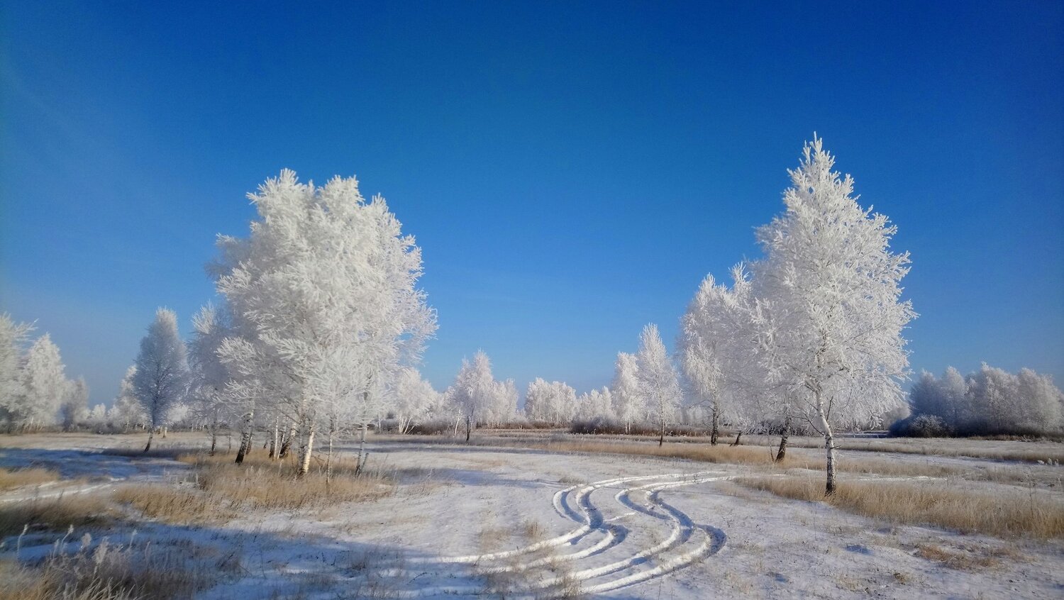 Photo #3880958