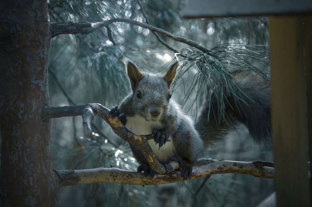 Photograph by Василий Рогачёв