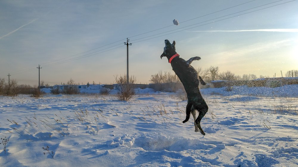 Фотография автора Руслан Токмагамбетов
