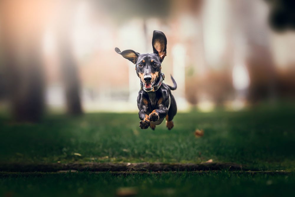 Photograph by Danae Soto Mustanen