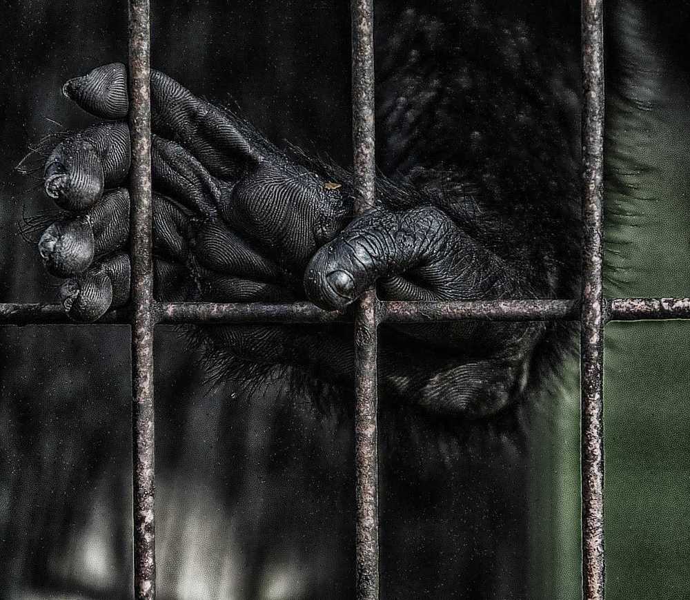 Photograph by Stephen Hathaway