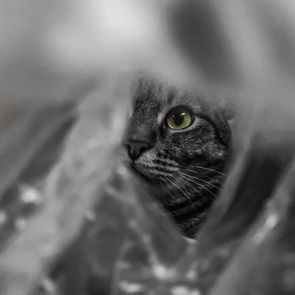 Photograph by Юлия