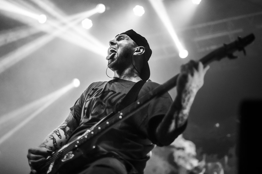 Фотография автора Александр Артеев