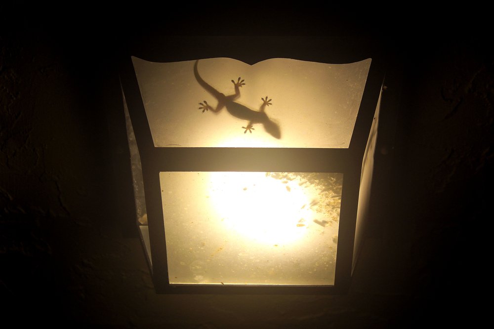 Фотография автора Katherine Bianko