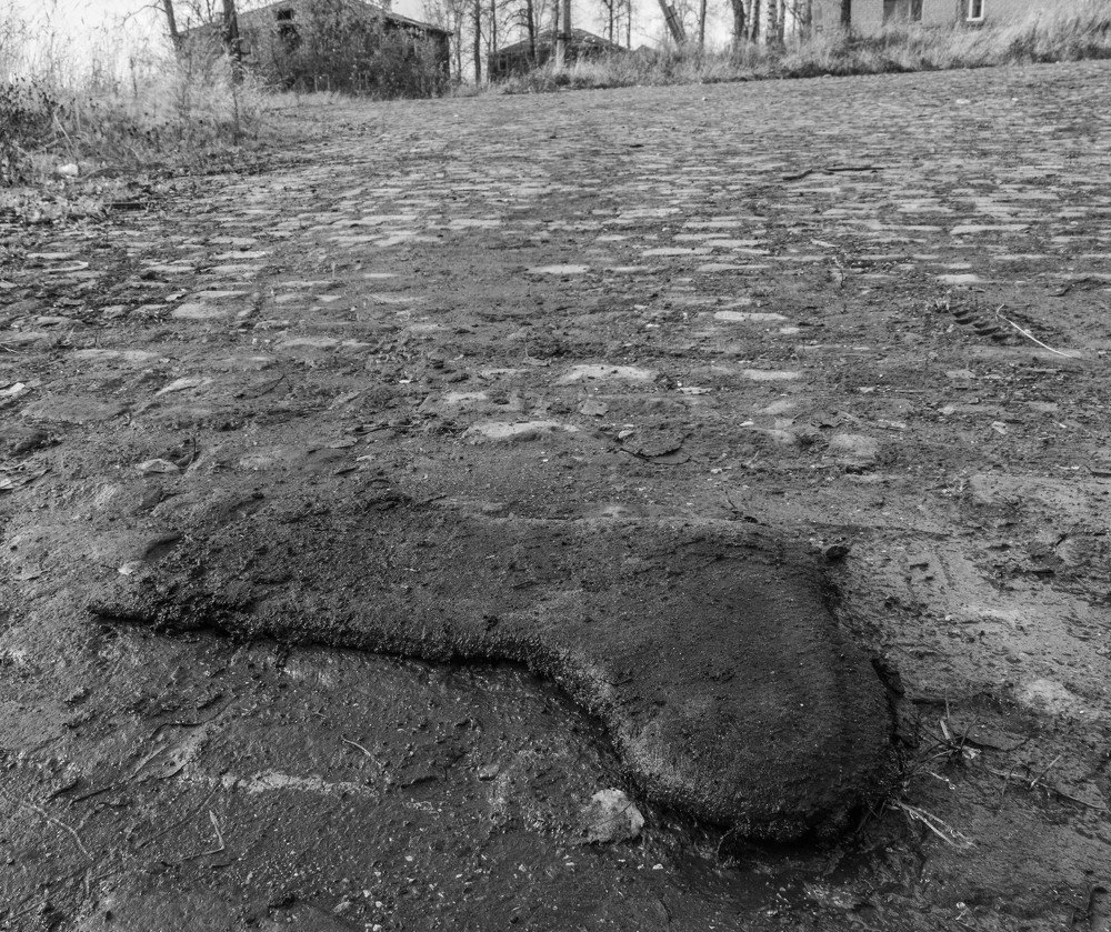 Photograph by Андрей Кротов