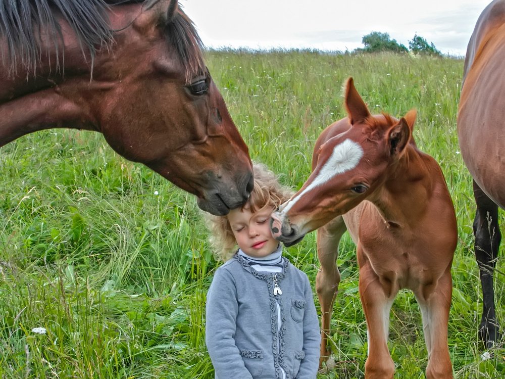 Photograph by Татьяна Феденкова