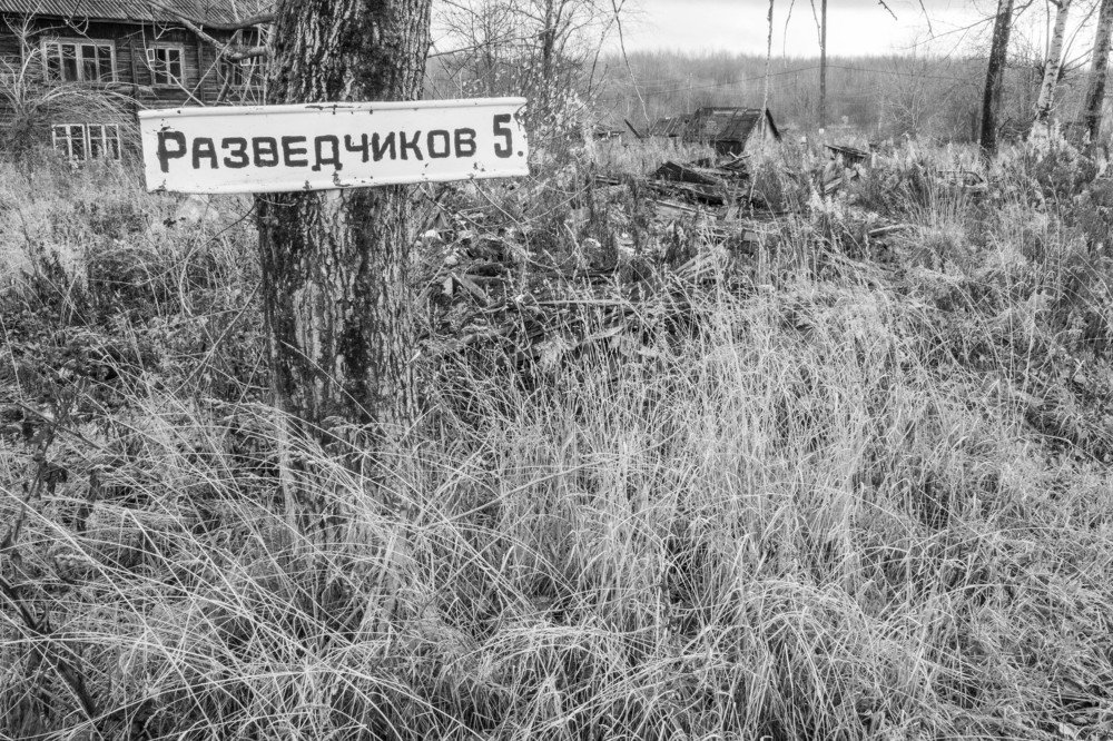 Photograph by Андрей Кротов