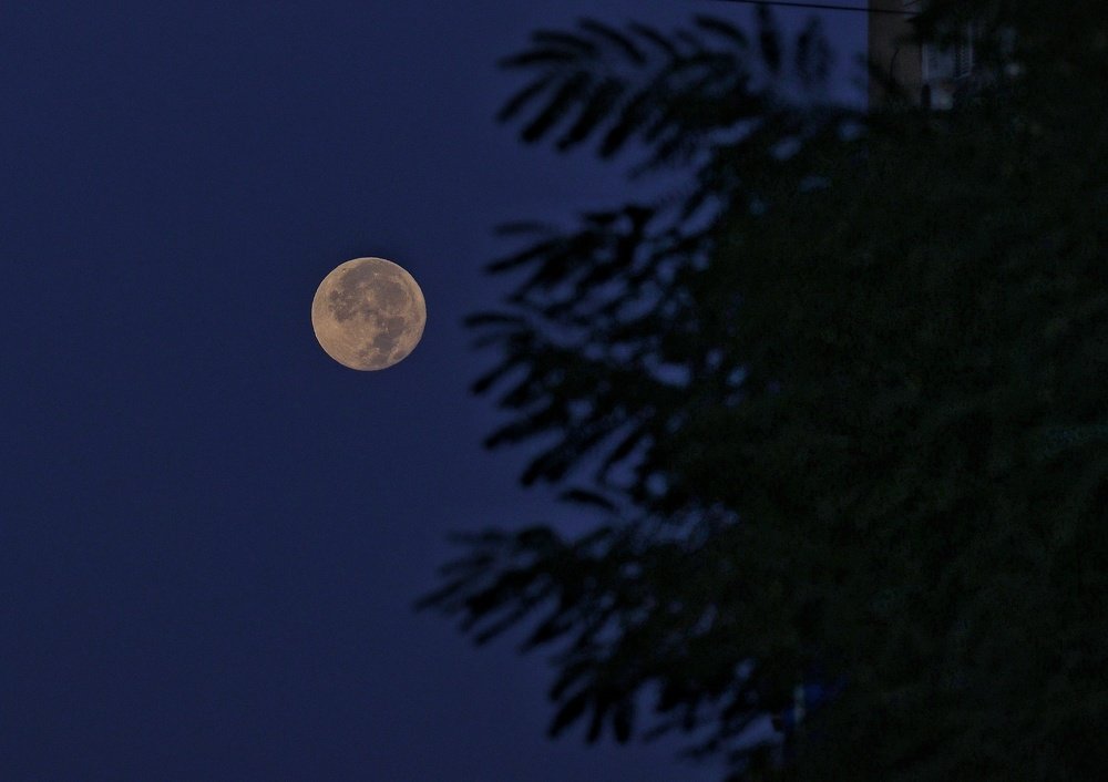 Photograph by IosHpa Alexander