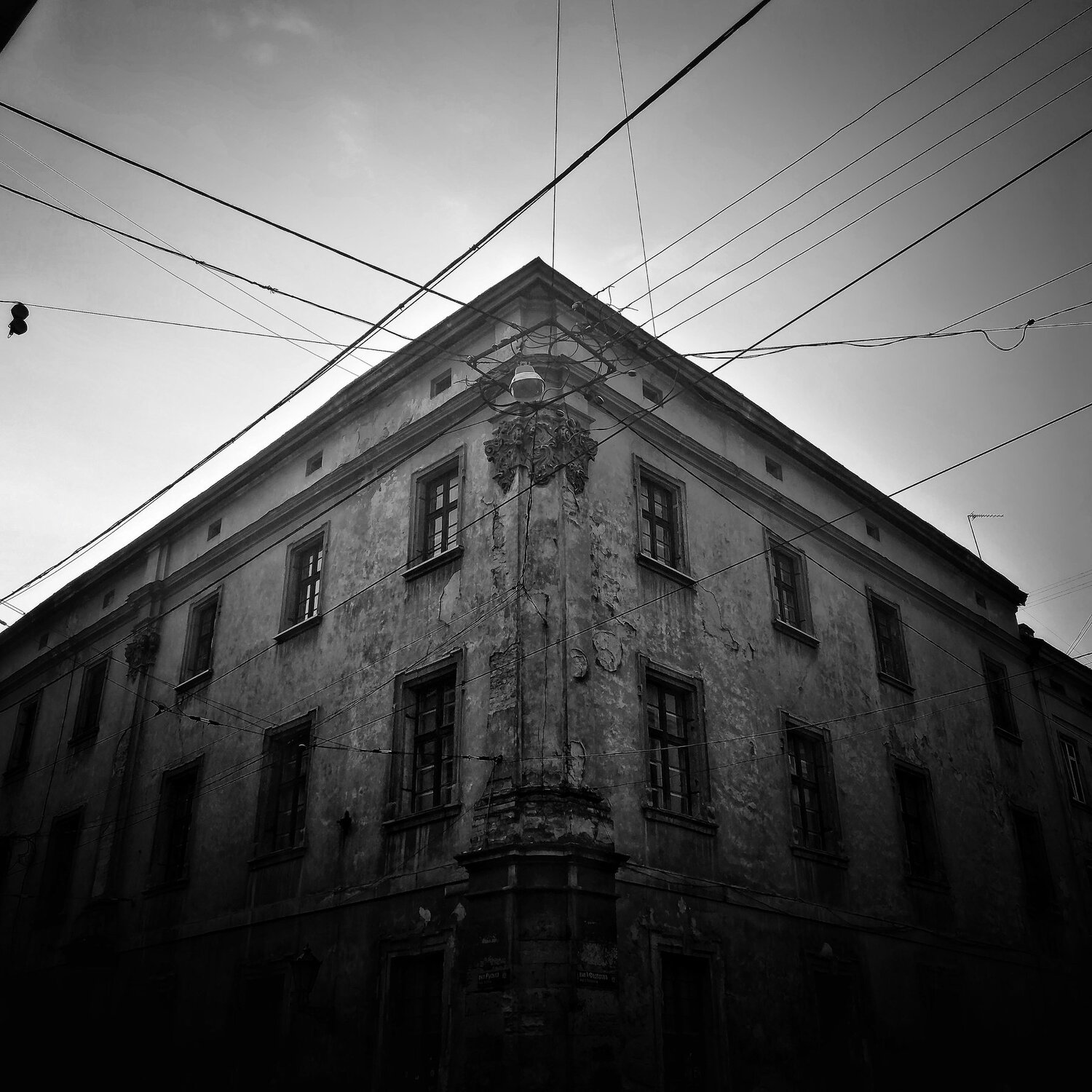 Photo #3881231
