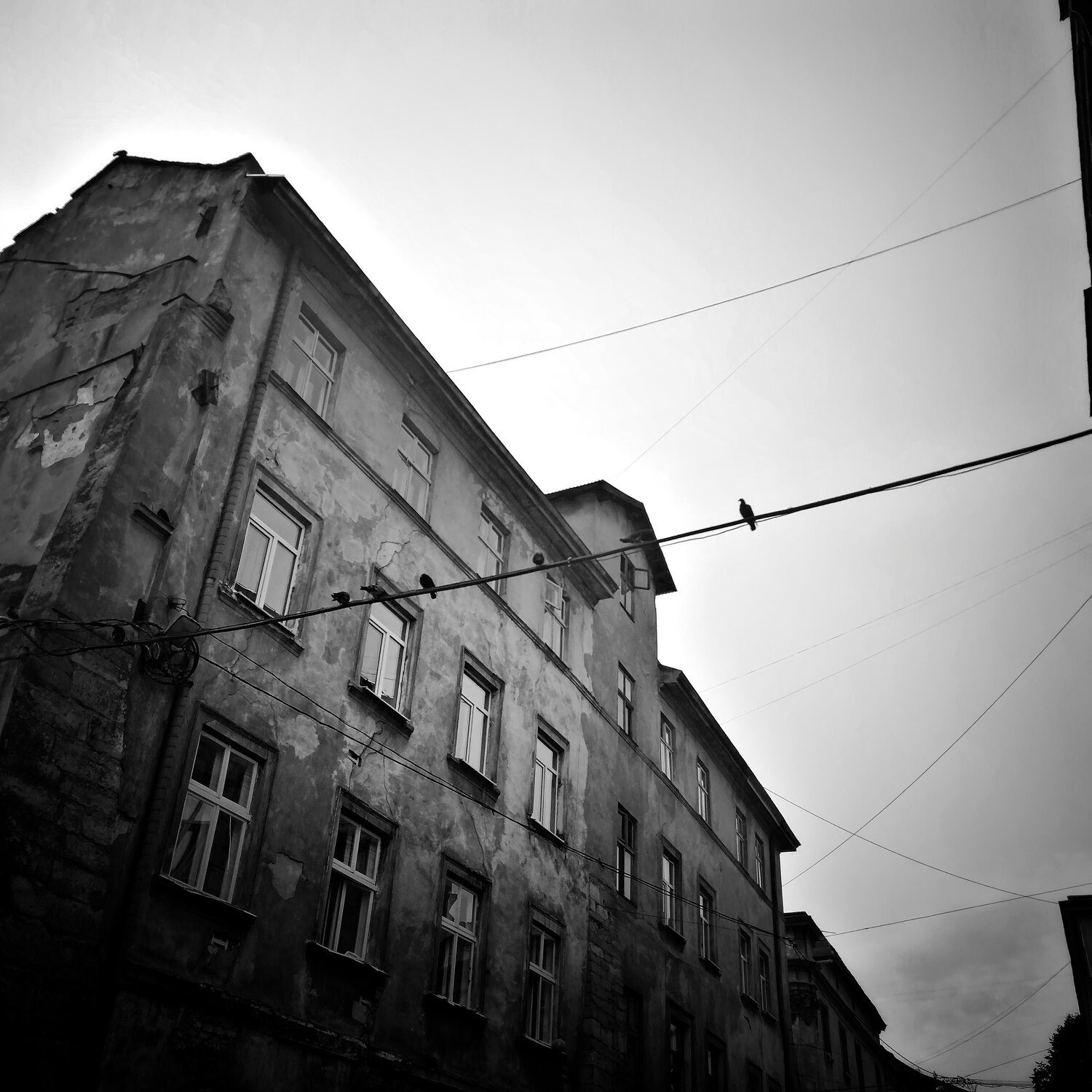 Photo #3881234
