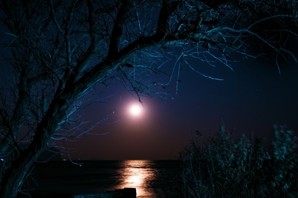 Укрываясь ночь